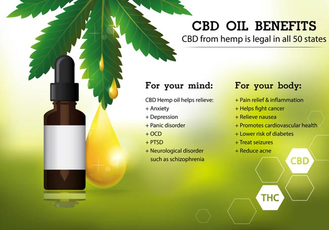 The Profitable Facts Of Cbd