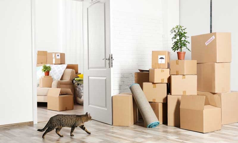 how to pack furniture when moving
