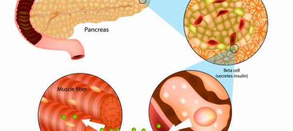 How can I improve my pancreas function