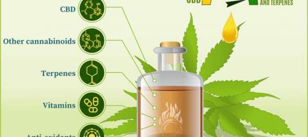 Does CBD Oil Settle Your Stomach