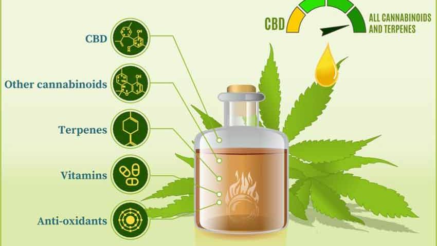 Does CBD Oil Settle Your Stomach