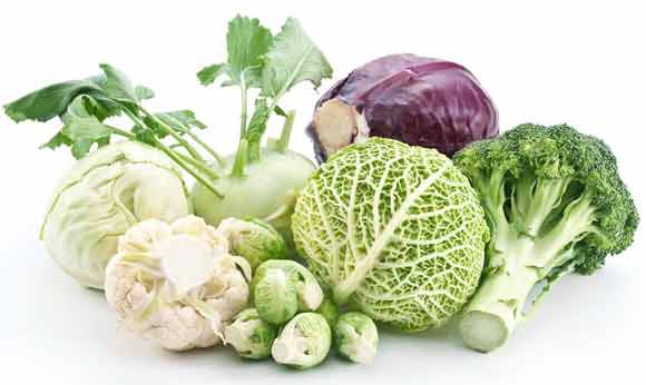 Importance of low fiber diet