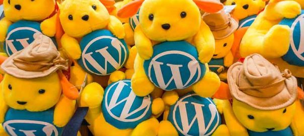 how to launch Wordpress site