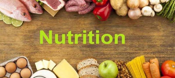 Can Different Kinds of Nutrition play an Important Role