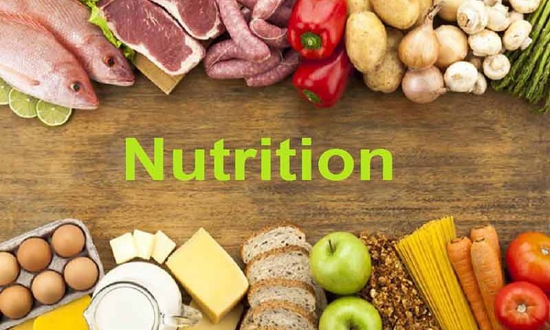Can Different Kinds of Nutrition play an Important Role