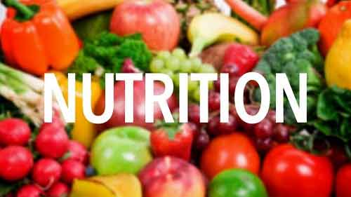 Why nutrition is significant