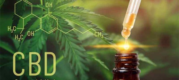 Difference Between CBD Oil and Raw CBD OIL