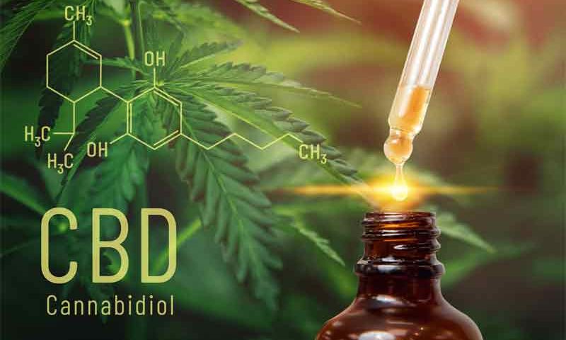 Difference Between CBD Oil and Raw CBD OIL