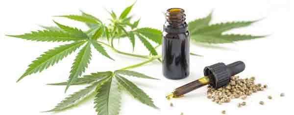 Cannabis Tincture