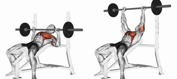 How to Warm up for Max Bench