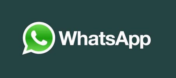 Tips Customize WhatsApp Experience