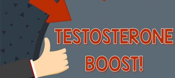 Foods That Increase Testosterone Levels In Men