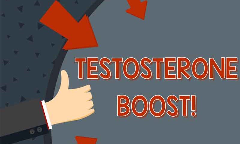 Foods That Increase Testosterone Levels In Men