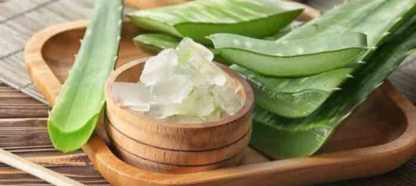 Using Aloe Vera for Anti-Aging Purposes