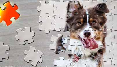 Solving Puzzles Helps You Improve Concentration